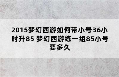 2015梦幻西游如何带小号36小时升85 梦幻西游练一组85小号要多久